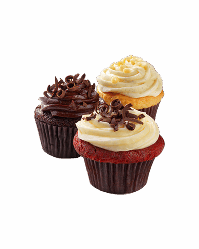 Chocolate Muffin